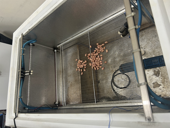 Peanuts in trays